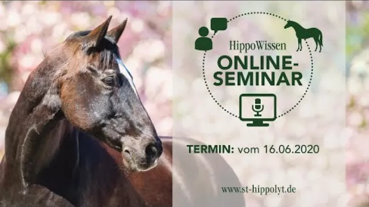 Vorschaubild für den Videofilmo "HippoWissen Fütterungsseminar: Seniorenfütterung - Bewegungsfreude".