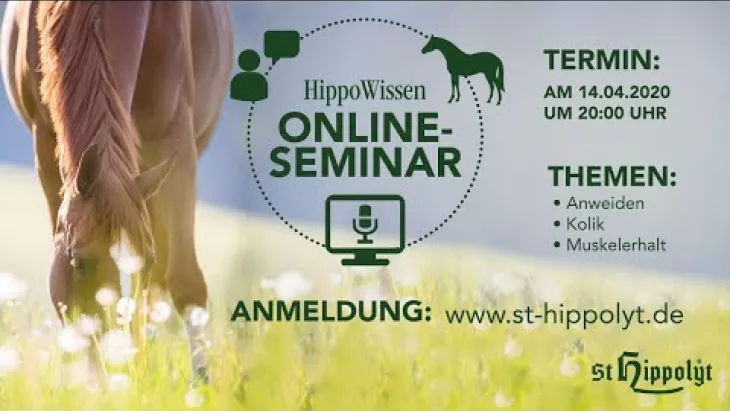 Preview image for the video "HippoWissen Online-Fütterungsseminar: Anweiden - Kolik - Muskelerhalt".