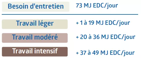 Tabelle Erhaltungsbedarf f