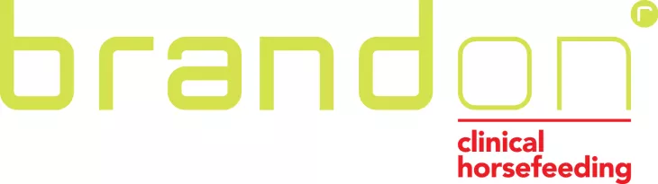 Brandon Logo