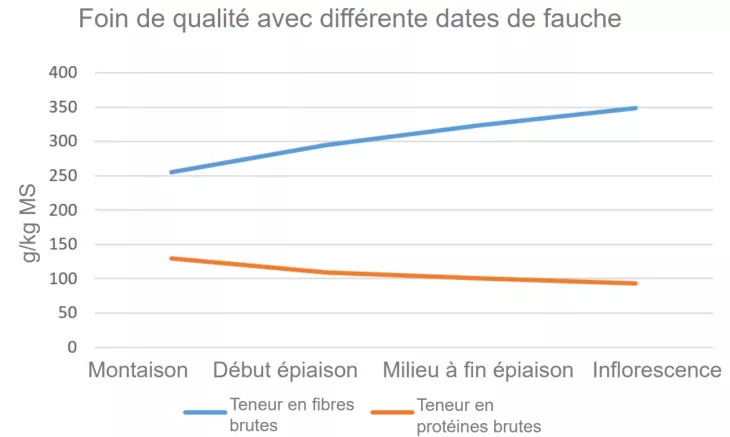 Foin de qualité