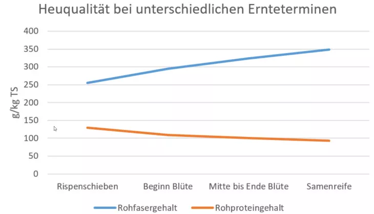 Heuqualität