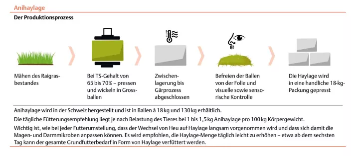 Produktionsprozess Haylage