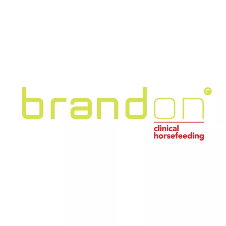 Brandon