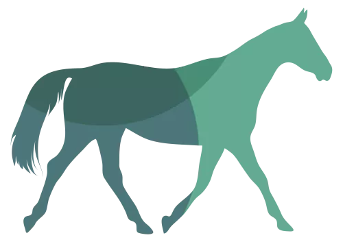 Silhouette