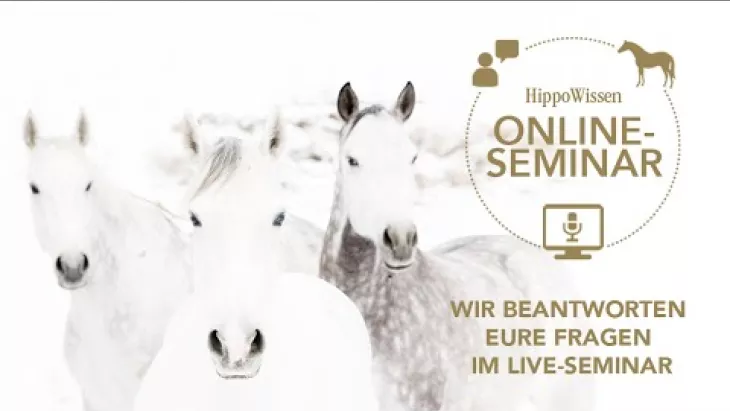 Vorschaubild für den Videofilmo "HippoWissen Fütterungsseminar: Fragen im Live-Seminar".