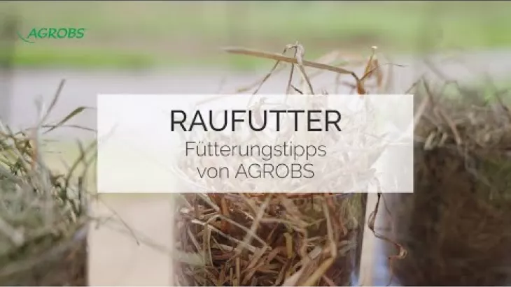 Vorschaubild für den Videofilmo "Die richtige Heufütterung - Fütterungstipps von AGROBS".