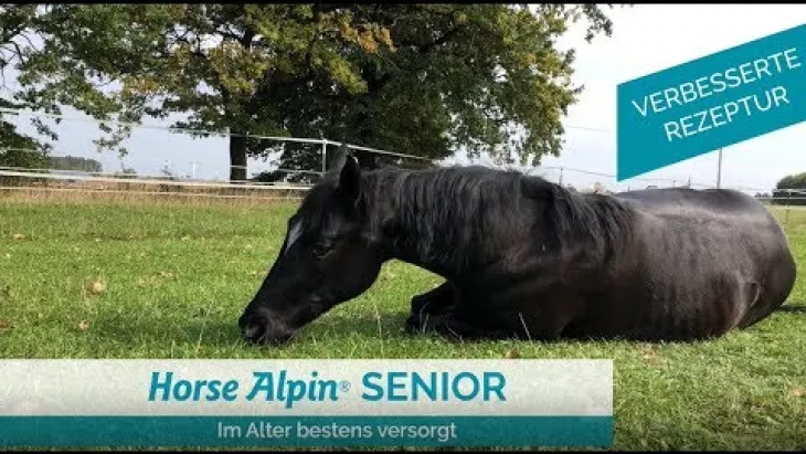 Vorschaubild für den Videofilmo "Altes Pferd? Pferdefutter für Senioren - AGROBS Horse Alpin® Senior".