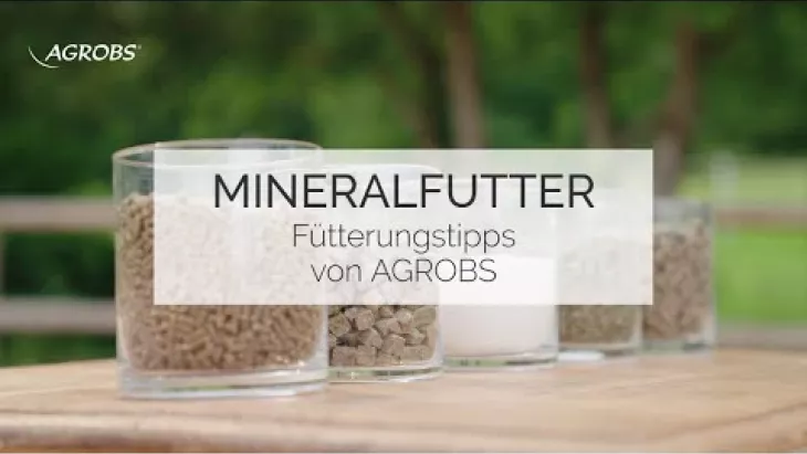 Vorschaubild für den Videofilmo "Mineralfutter für Pferde - Fütterungstipps von AGROBS".