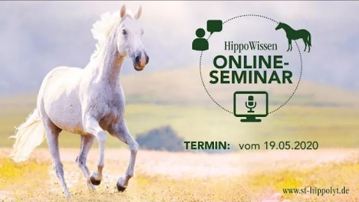 Vorschaubild für den Videofilmo "HippoWissen Fütterungsseminar: Weidesaison - Stoffwechselentgleisungen (EMS, ECS/PPID) - Ekzemer".