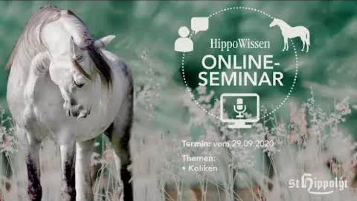 Vorschaubild für den Videofilmo "HippoWissen Fütterungsseminar: Koliken - Magengeschwüre – Kotwasser".