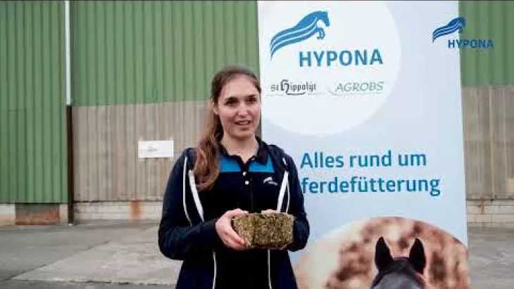 Vorschaubild für den Videofilmo "HYPONA Complete-Balls und -Bricks".