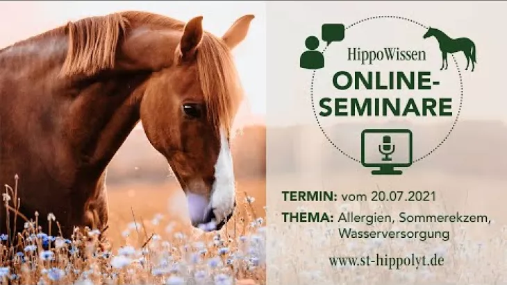Vorschaubild für den Videofilmo "HippoWissen Sommerspezial: Allergien - Sommerekzem – Wasserversorgung".
