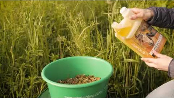 Preview image for the video "Glänzendes Fell und gesunde Haut -  AGROBS Omega3 Pur für Pferde".