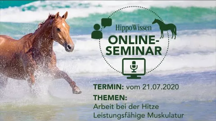 Vorschaubild für den Videofilmo "HippoWissen  Online-Fütterungsseminar:  Arbeit bei Hitze - Leistungsfähige Muskeln".